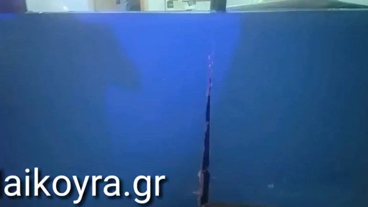 Αυτοκίνητο μπούκαρε σε φροντιστήριο στη Βέροια (βίντεο)